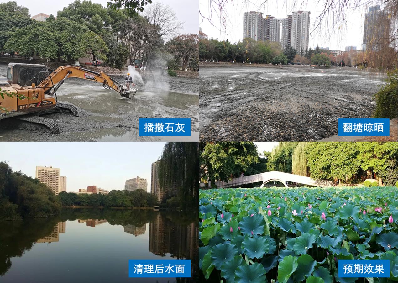 麻豆传媒