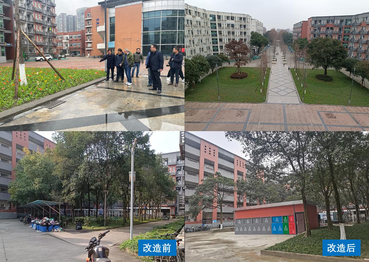麻豆传媒